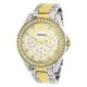 Fossil Women's Riley ES3204 Silver Stainless-Steel Quartz Fashion Watch